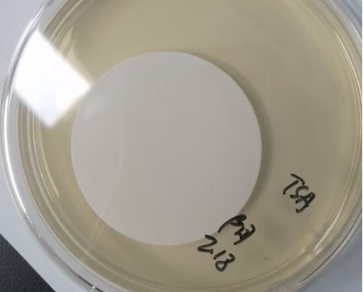 在日常微生物限度檢查中,應該做幾個稀釋級